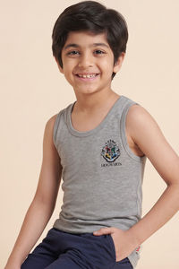 Lee Cooper Boys Harry Potter Vest (Pack of 2) - Multicolor — thumbnail 5